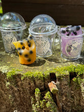 Load image into Gallery viewer, Boba in Cup (Surprise Color)- Resin Owl (please only buy 2-3)