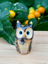 Load image into Gallery viewer, Revna, the High Fire Ceramic Owl (raven)