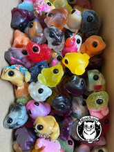 Load image into Gallery viewer, Surprise Tog Resin Art SALE
