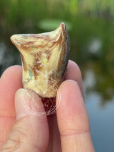 Load image into Gallery viewer, Elin, the Marbled Ceramic Owl (bright/torch)