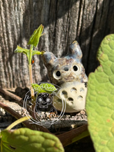 Load image into Gallery viewer, Mushi the Ceramic - Totoro Inspired (虫 Bug)