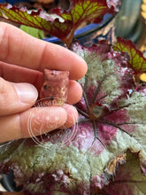 Load image into Gallery viewer, Begonia, the Pink Ceramic Elf Owl