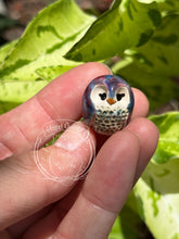 Load image into Gallery viewer, Caladium, the Ceramic Elf Owl