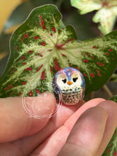 Load image into Gallery viewer, Caladium, the Ceramic Elf Owl