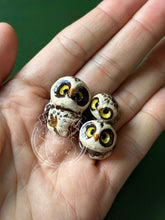 Load image into Gallery viewer, Digger Burrowing & Mini House, Curious the Pixie Ceramic Owl