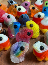 Load image into Gallery viewer, Surprise Tog Resin Art SALE