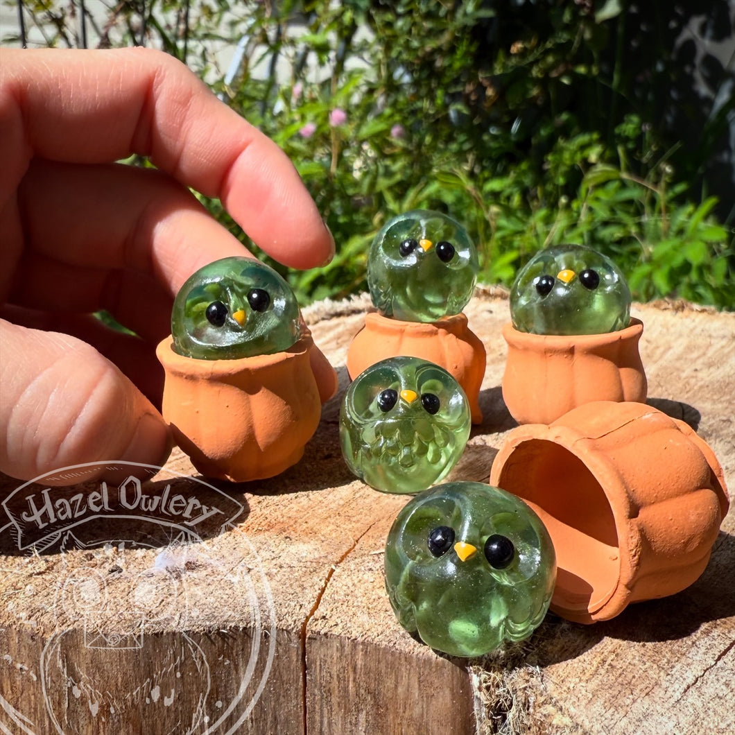 Potted Succulent MarbOwl Resin Owl - (please limit yourself to 3 or 4 )