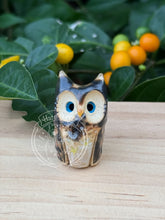 Load image into Gallery viewer, Revna, the High Fire Ceramic Owl (raven)
