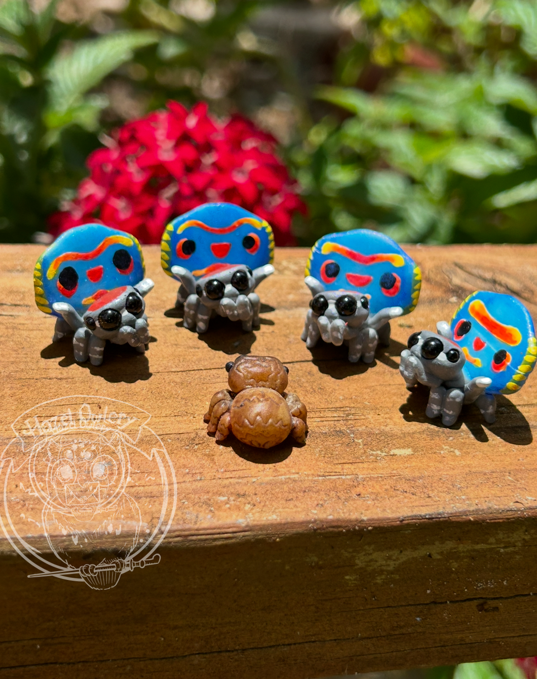 Coastal Peacock Spider - Resin Art (please only buy 1 or 2 of each variation)