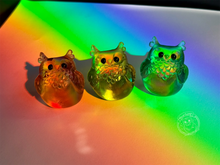 Load image into Gallery viewer, Storm Tracker Resin Owl -  (please limit to 2 or 3)
