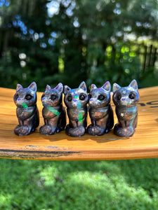 Galaxy Cat Meows - Resin Art Cat (please limit to 2 or 3)