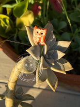 Load image into Gallery viewer, Charm, the Ceramic Elf Owl
