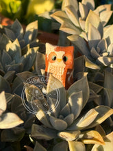 Load image into Gallery viewer, Agate, the Marbled Ceramic Owl
