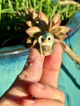 Load image into Gallery viewer, Sedum, the Dark Teal Ceramic Elf Owl
