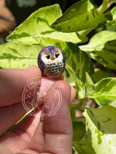 Load image into Gallery viewer, Caladium, the Ceramic Elf Owl
