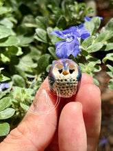 Load image into Gallery viewer, Caladium, the Ceramic Elf Owl
