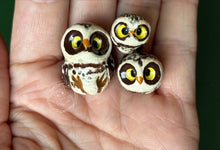 Load image into Gallery viewer, Digger Burrowing &amp; Mini House, Curious the Pixie Ceramic Owl
