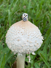 Load image into Gallery viewer, #6 Dail &amp; Mini House, the Ceramic Pixie Owl - Blue Chinaware Inspired ("Tiny" in Arabic)
