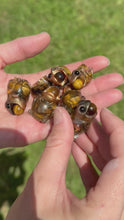Load and play video in Gallery viewer, Tiger Eye lil&#39; aaaah Froglet - Resin Art (please limit yourself to 2or 3)
