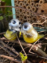 Load image into Gallery viewer, Great Tits (each sale sends $5 to breast cancer) - Resin Art
